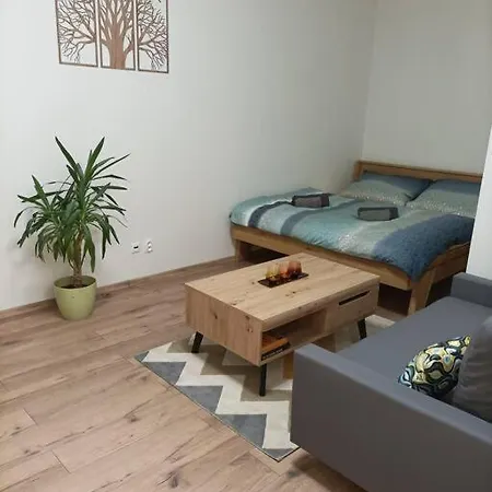 Stylovy Zemplinska Apartment Presov